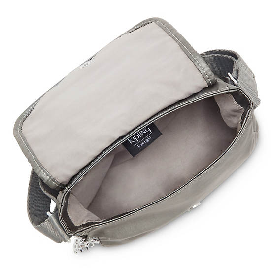 Kipling Sabian Metallic Crossbody Mini Väska Grå | SE 1868WN